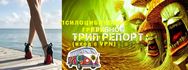 ГАЛЛЮЦИНОГЕННЫЕ ГРИБЫ Алексин