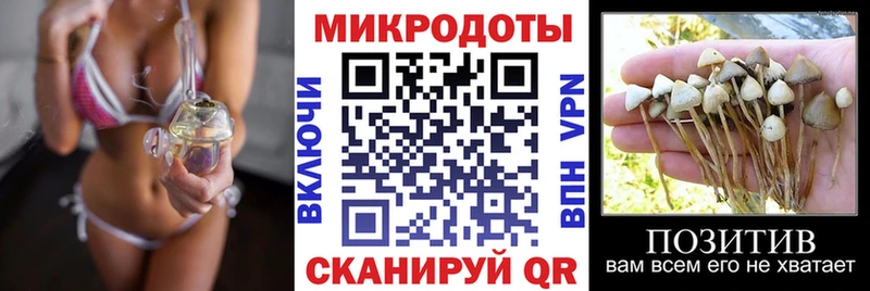 Галлюциногенные грибы прущие грибы  дарнет шоп  Талица 